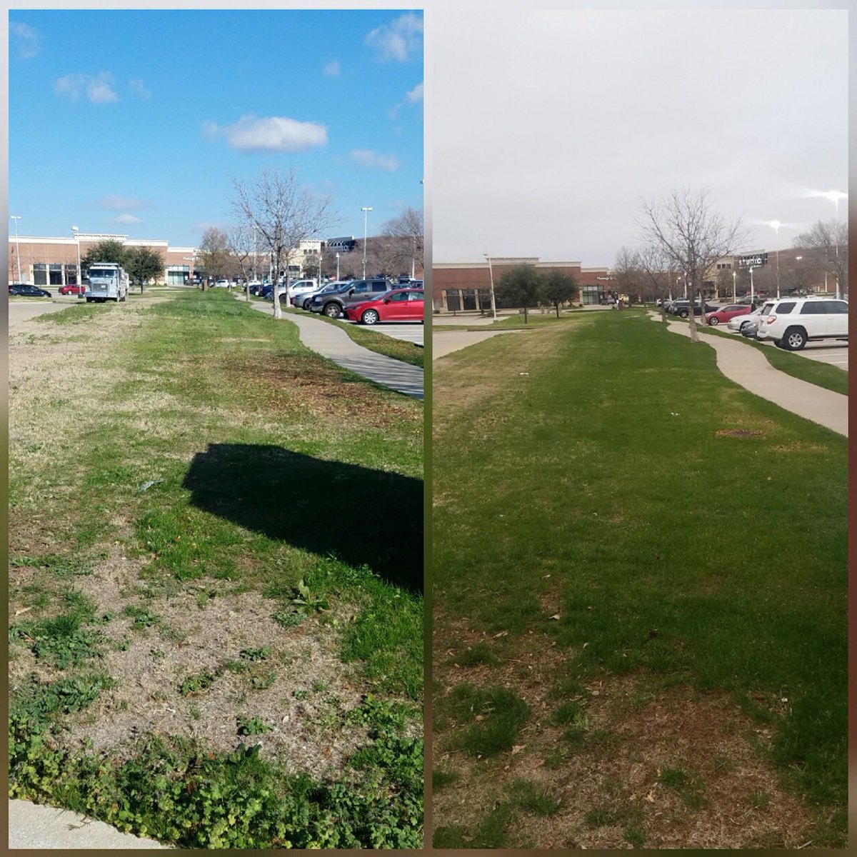 KevinLebanik's tweet photo. @HarrellsLLC fertilizers always separate from the rest.. use the best to help be the best. The grass IS greener on the other side with Polyon! #iknowaguy https://t.co/JD9JSYrw0g