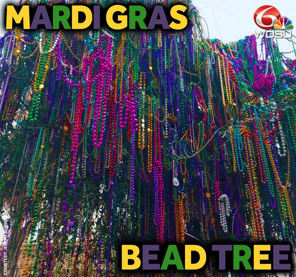 wdsu's tweet photo. Found only in New Orleans, ya know? #nola #neworleans #mardigras #carnival #louisiana #paradetracker https://t.co/Ii9XQEEUEC