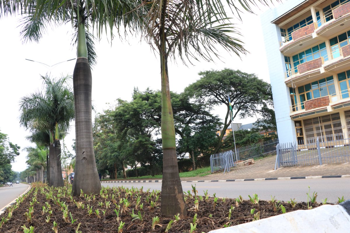 endaenergylinks's tweet photo. @CityofKigali @UEauSenegal @jvesenegal @aissatou_diouf @IMingassonUE @bousso_faye @secou_sarr @EmmanuelSobel @jalybadiane @laminepro @PaulKagame Si cette ville a su conserver cette belle verdure et un air respirable, c'est aussi grâce à la police de la propreté qui veille au grain à tous les coins de rue. 
#VisitRwanda #EIPC #MbalitNaSet #Malicounda #CoopérationSudSud https://t.co/DCNrcTD5bF