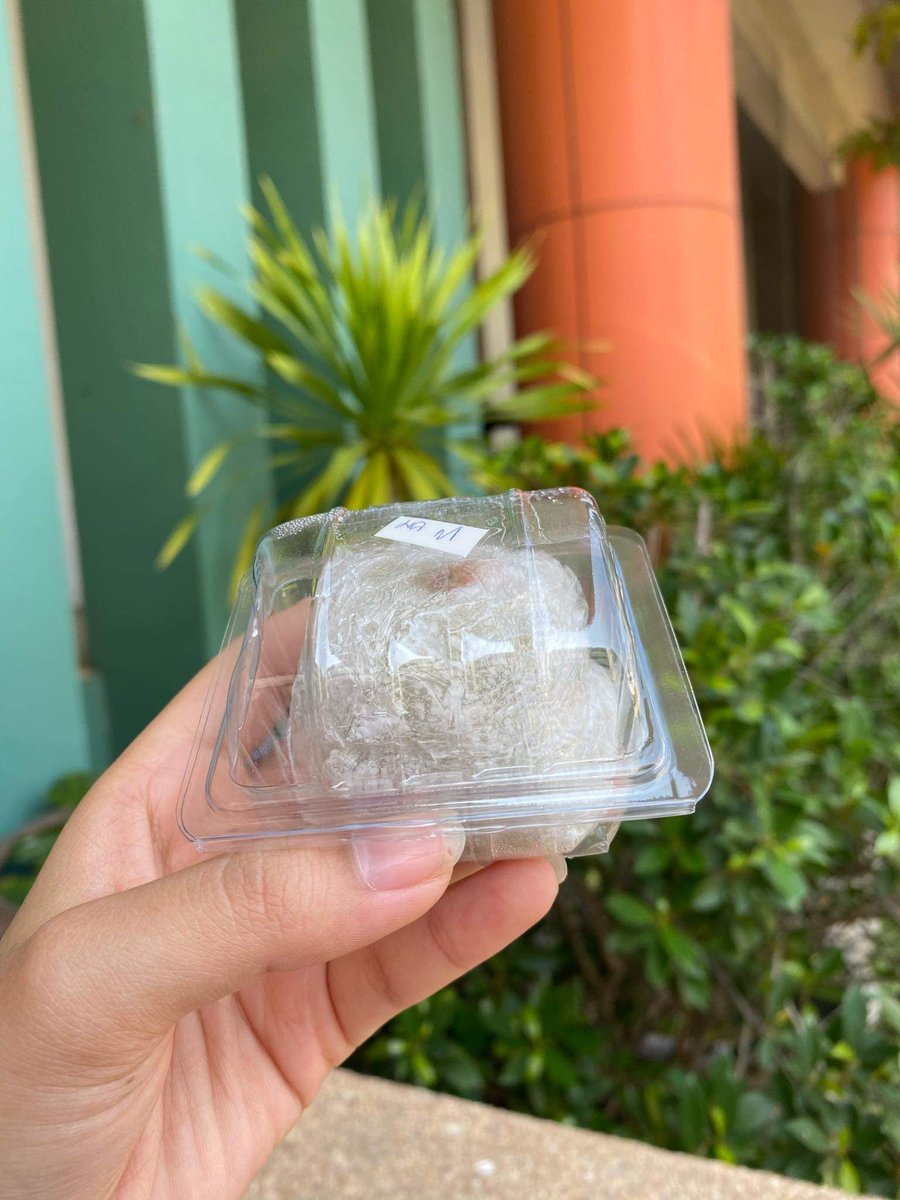 JSriwirat's tweet photo. ไดฟูกุสตอเบอร์รี่เจ้าหมา 🍓✨
สามารถเลือกได้ 3 รสชาติ 
ถั่วแดง 🥜 มัทฉะ 🍵 ช็อคโกแลต 🍫 มันม่วง🍠
มี 3 ไซส์ 🍓🍓🍓
S  ราคา 35 บาท 
M ราคา 45 บาท  
L  ราคา 60 บาท 
XL ราคา 85 บาท 
จัมโบ้ ราคา 95 บาท
ไดฟูกุมาเป็นรอบ❗️แต่ละรอบมีจำนวนไซส์จำกัด 🙏🏻
สนใจไดฟูกุ  🍓 ไดเรกมาได้เลยคะ ✨ https://t.co/FqxZbWwTkS