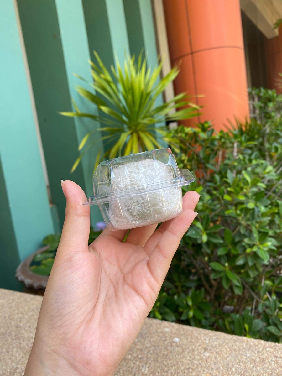 JSriwirat's tweet photo. ไดฟูกุสตอเบอร์รี่เจ้าหมา 🍓✨
สามารถเลือกได้ 3 รสชาติ 
ถั่วแดง 🥜 มัทฉะ 🍵 ช็อคโกแลต 🍫 มันม่วง🍠
มี 3 ไซส์ 🍓🍓🍓
S  ราคา 35 บาท 
M ราคา 45 บาท  
L  ราคา 60 บาท 
XL ราคา 85 บาท 
จัมโบ้ ราคา 95 บาท
ไดฟูกุมาเป็นรอบ❗️แต่ละรอบมีจำนวนไซส์จำกัด 🙏🏻
สนใจไดฟูกุ  🍓 ไดเรกมาได้เลยคะ ✨ https://t.co/FqxZbWwTkS