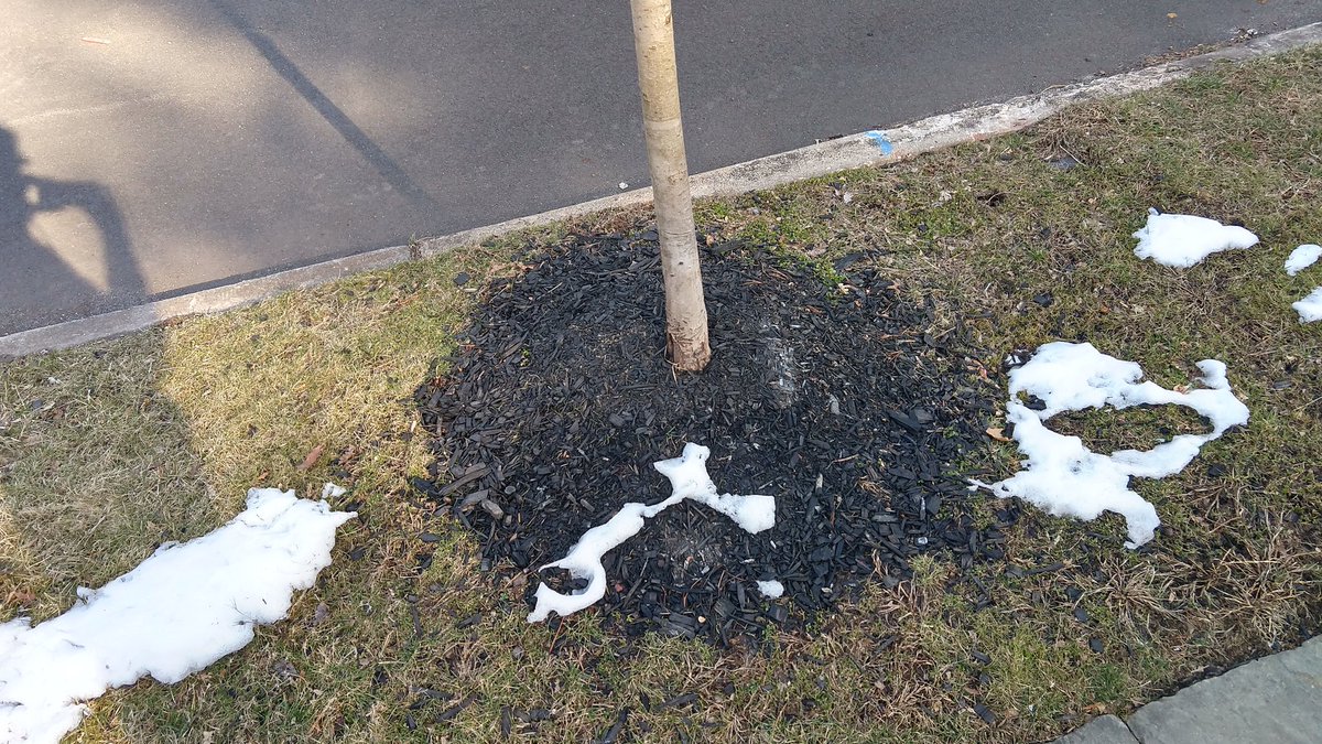 TreesofNJ tweet picture