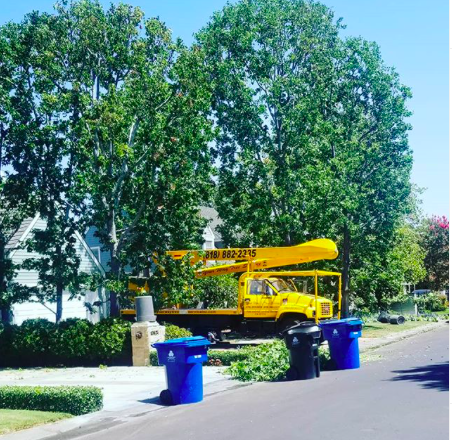 YourWayTreeServ's tweet photo. Trimming time!!
Serving in Los Angeles and sourrandings.
Get your free estimate today!
☎️ (818) 888-9248
#treeremovallosangeles #treecareservices #treeremovalservices #treetrimminglosangeles #treeserviceslosangeles #residentialtreeserviceslosangeles https://t.co/DaulZDVFkS