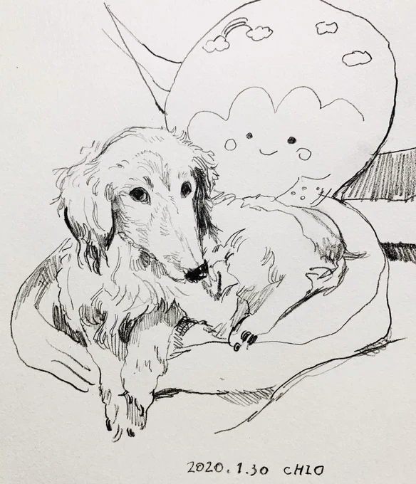 いぬ 