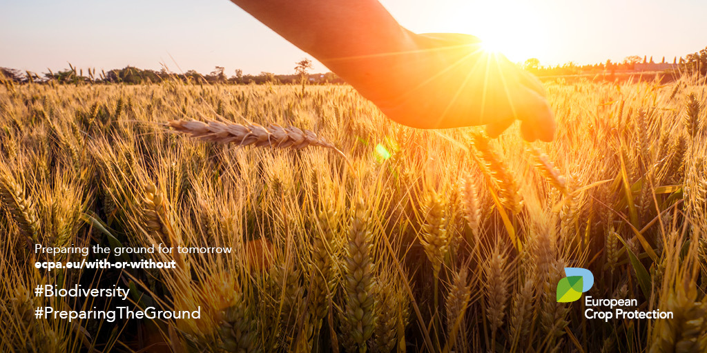 CropLifeEU's tweet photo. For #agriculture to be sustainable it must be efficient, productive, and contribute to a resilient natural #environment. Farmers can achieve this provided they have access to appropriate technology &amp; best management practices. #PreparingTheGround
https://t.co/y2se5CSUDC https://t.co/zHlcU6mEpY