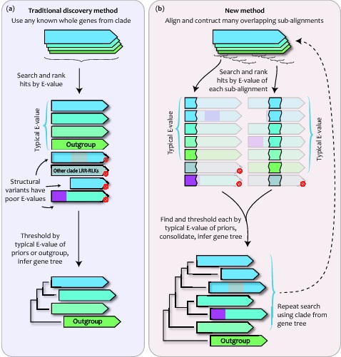 Man et al., Fig. 1, Our gene discovery method was developed for large gene families containing members with structural rearrangements.