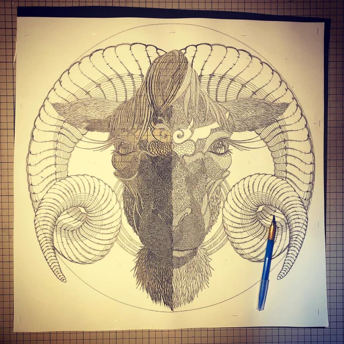この続きはまた来週末から。Today's papercuttingwork.If you want to see the completed form of this work, please follow me.#art #papercuttingart #切り絵 #illustration #イラスト #artist #artwork #japan #photo #photooftheday #photography  #芸術 #美術 #argali #deer #鹿 