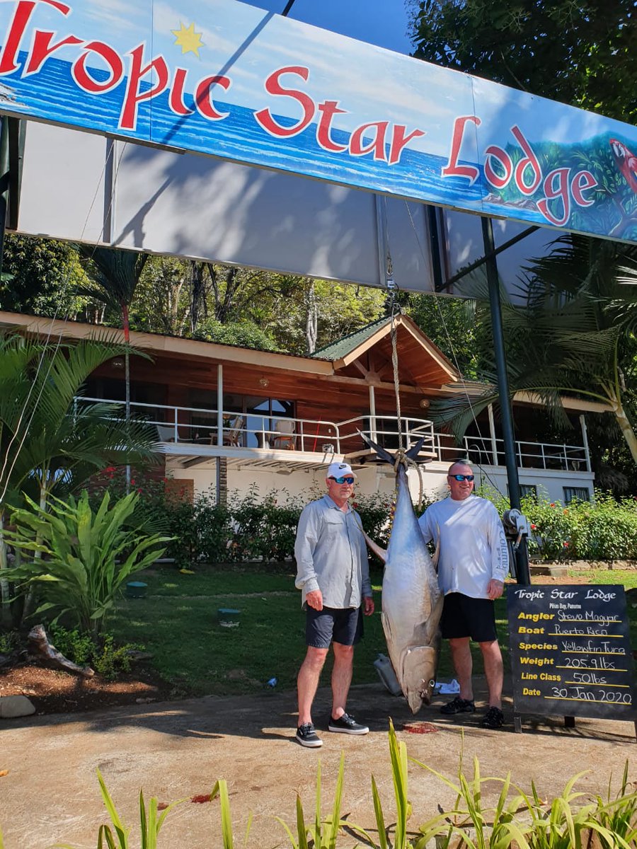 Tuna Time at Tropic Star Lodge!
Check out these nice yellowfin Tunas caught by our guests Steve Magyar (205.9 lbs) and Mike Streams (184lbs).