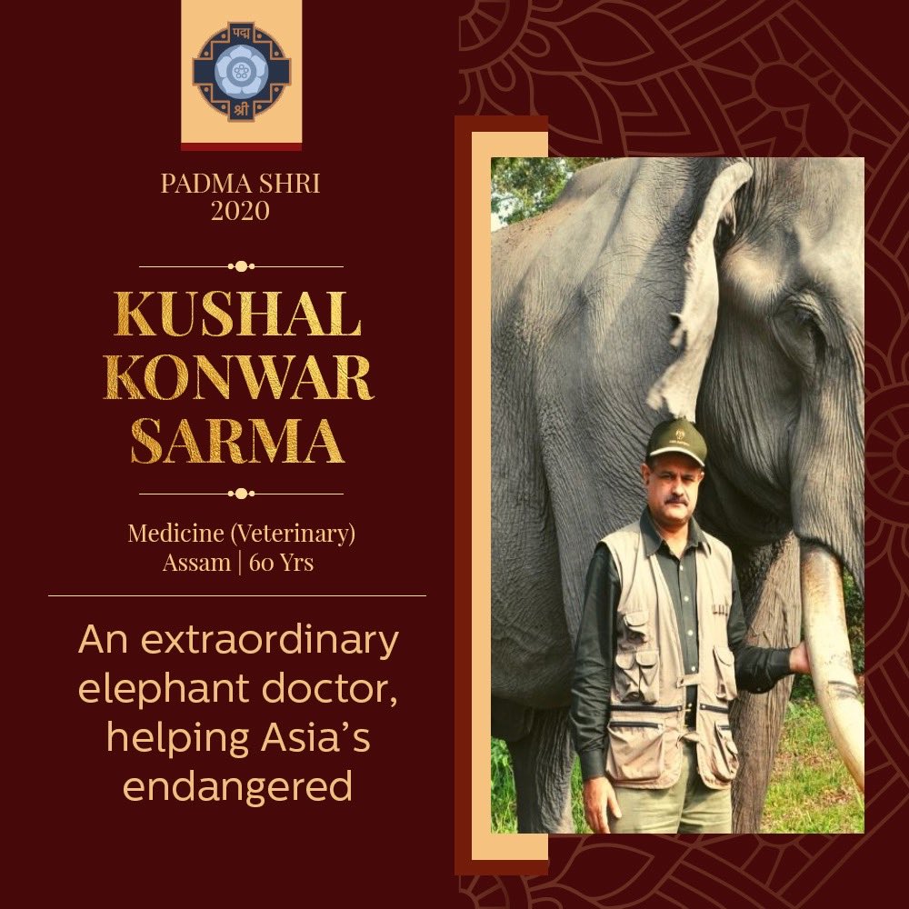 AnupamPKher's tweet image. This year’s #PadmaAward winners. Lets spread their incredible work. Share it. Retweet it. Jai Ho.🙏😍🇮🇳