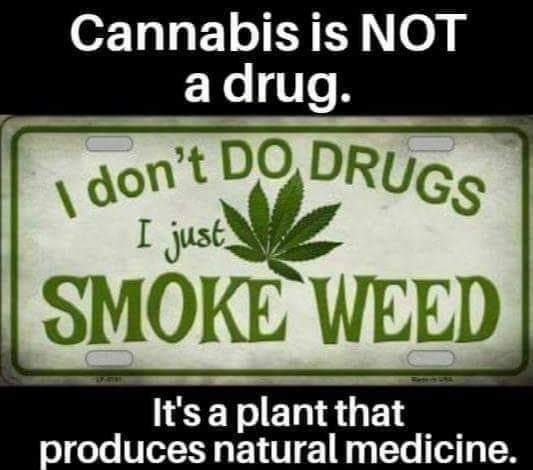midkemia69's tweet photo. @AsktheChief01 @MMCMallyMokoena @Yoliswamakhasi @Abramjee @CityofJoburgZA @CoJPublicSafety @WayneMinnaar2 @GP_CommSafety @MbalulaFikile @DoTransport @coj_gfis marijuana is not a drug... its a plant
go arrest actual criminals
#NotaDrug
@CannabisCulture @CannaBizArt @CannabisClubSA https://t.co/7zPvmO5giB