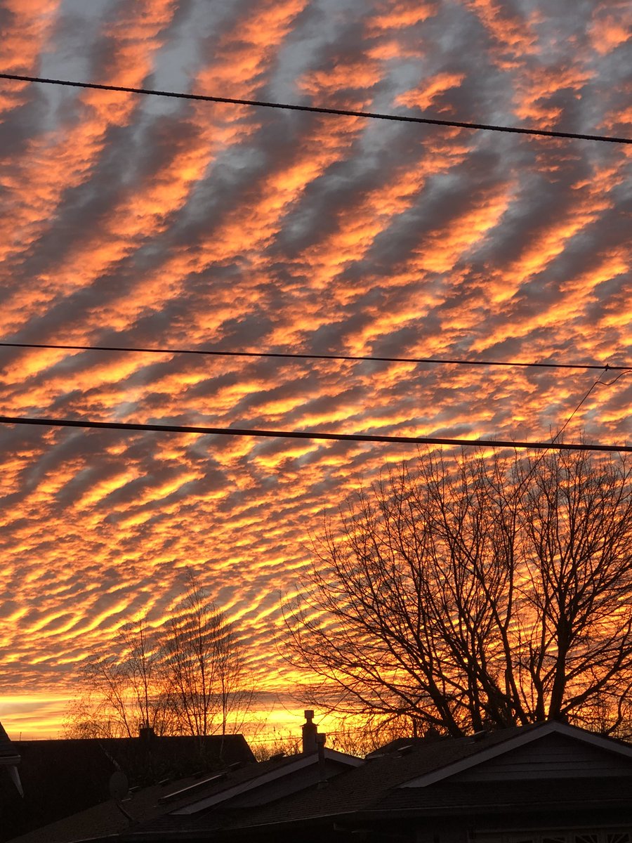 Good Morning Portland!