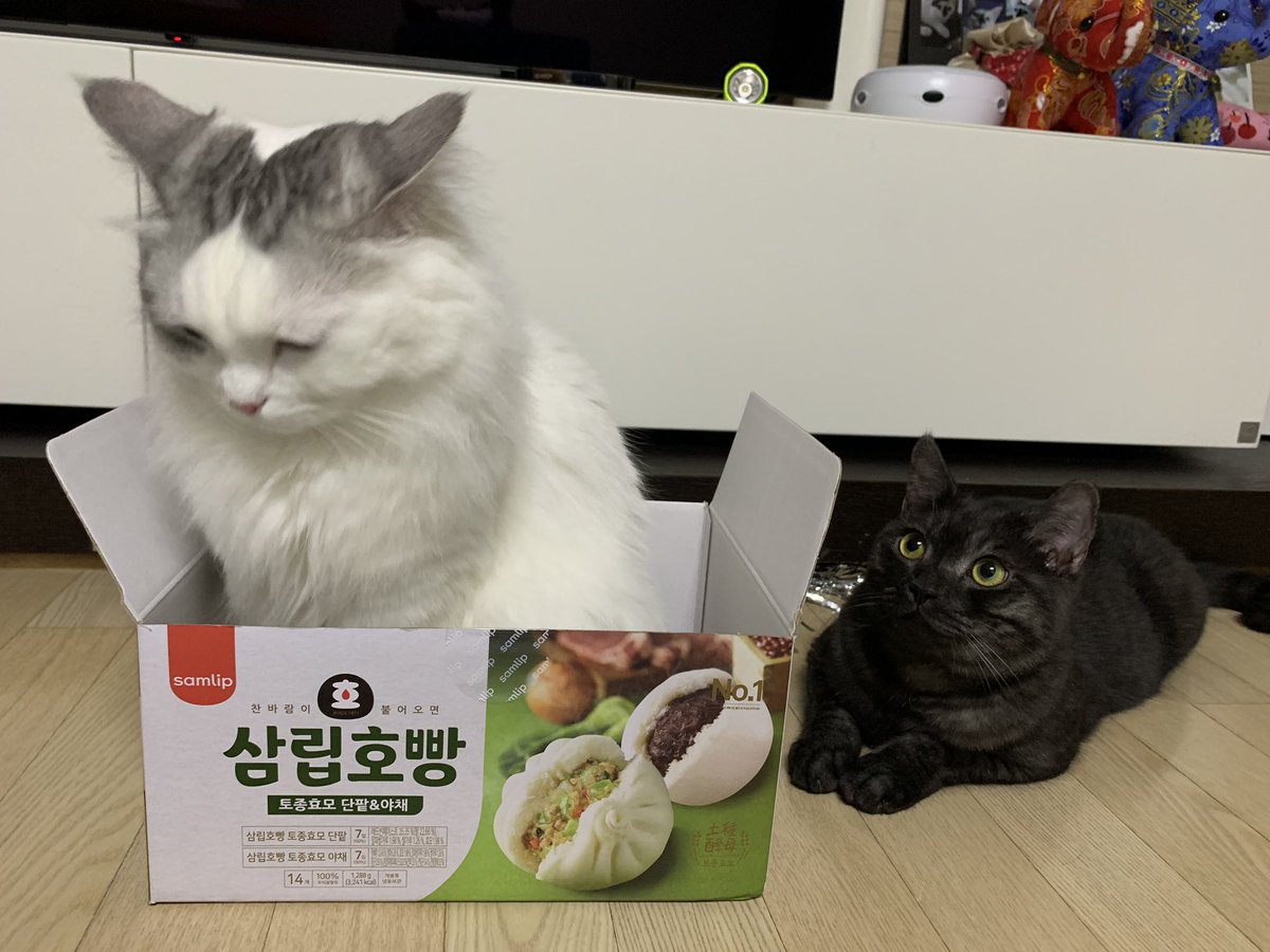 아카시아로 tweet media