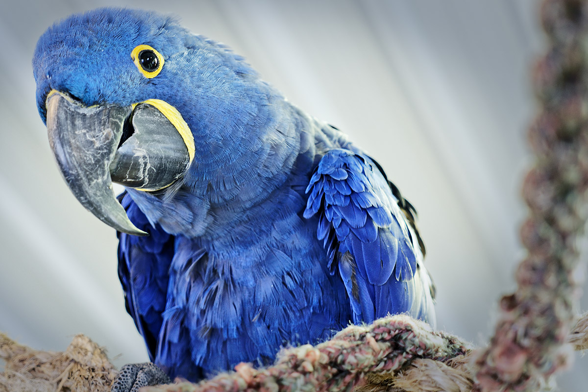 Mark Schacter tweet media