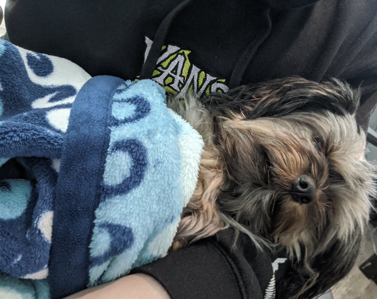 SPLMunch's tweet image. All bundled up 🙂