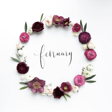 Hello February. After what seems like a longer than usual start to the year, we're ready to usher in a new month and set new goals for the up-coming seasons. 

📷 @humphandgrace