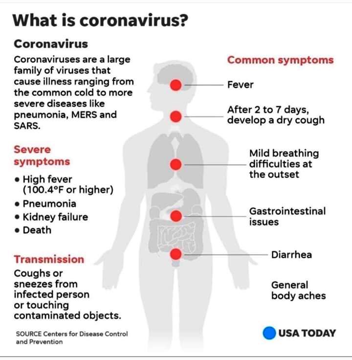 iambiodam's tweet photo. The Corona virus is fast spreading, Let us take precaution.

Here’s what you need to know about the Corona Virus! 🦠 #CoronavirusOutbreak 

RT to Save Other's https://t.co/TUWaB5VWk6