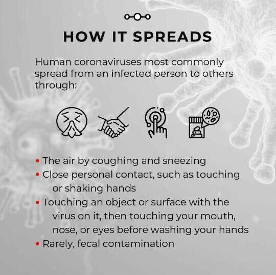 iambiodam's tweet photo. The Corona virus is fast spreading, Let us take precaution.

Here’s what you need to know about the Corona Virus! 🦠 #CoronavirusOutbreak 

RT to Save Other's https://t.co/TUWaB5VWk6