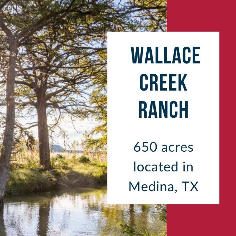 𝟲𝟱𝟬 𝗮𝗰 𝗪𝗮𝗹𝗹𝗮𝗰𝗲 𝗖𝗿𝗲𝗲𝗸 𝗥𝗮𝗻𝗰𝗵-- This unimproved property is great for hunting and recreational activities! 𝗩𝗶𝘀𝗶𝘁 listings.texas-landman.com/texas-landmen/… for more information 😊 #texaslandmen #texasranch #texasland #ranchforsale #realestate #ranchrealestate