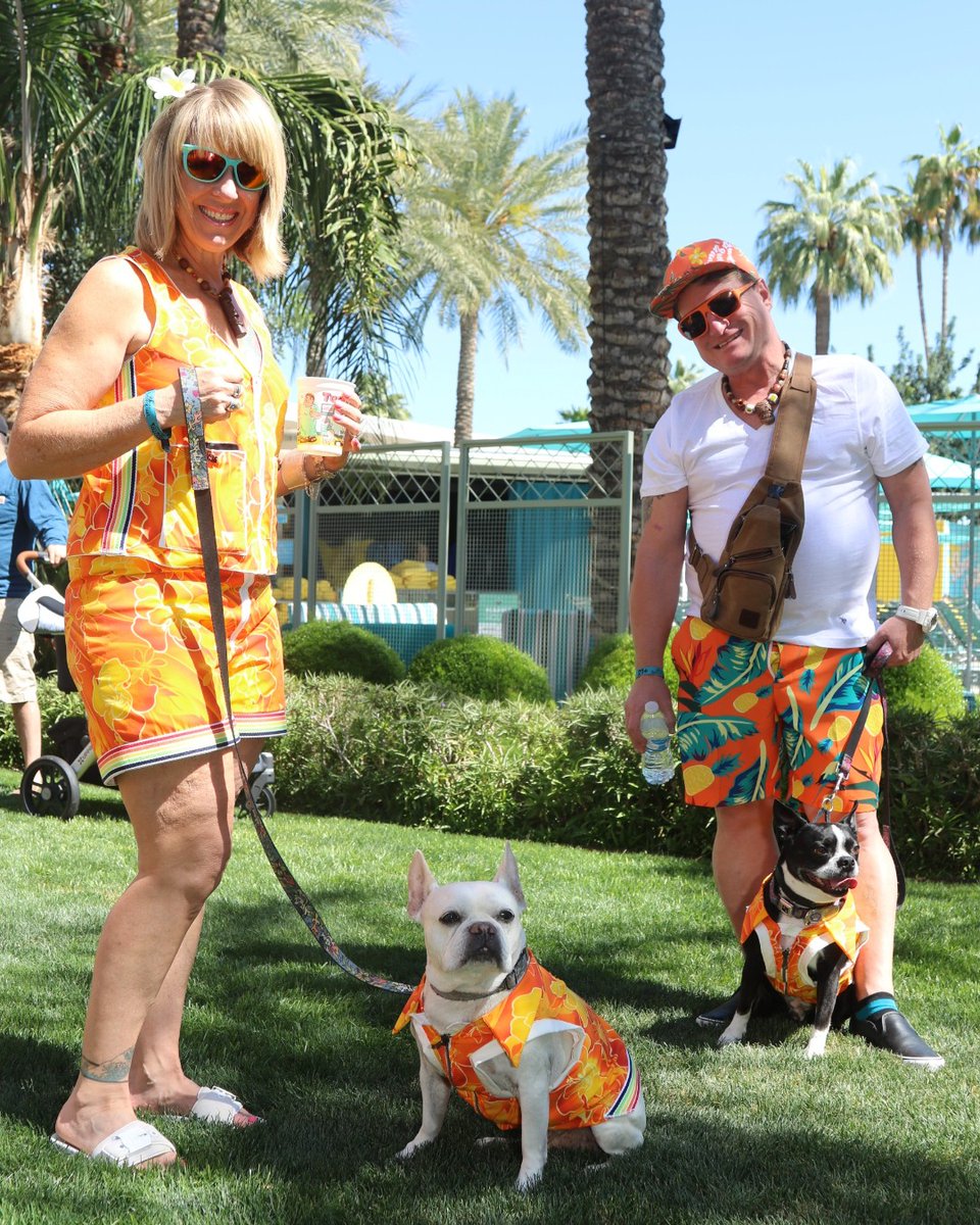 tikioasis's tweet photo. NEW this year AZ Tiki Oasis and San Diego Tiki O will have a pooch parade! Both hotels are pet friendly.
#poochparade #tikidog #tikipup https://t.co/ejP4h5DSsx