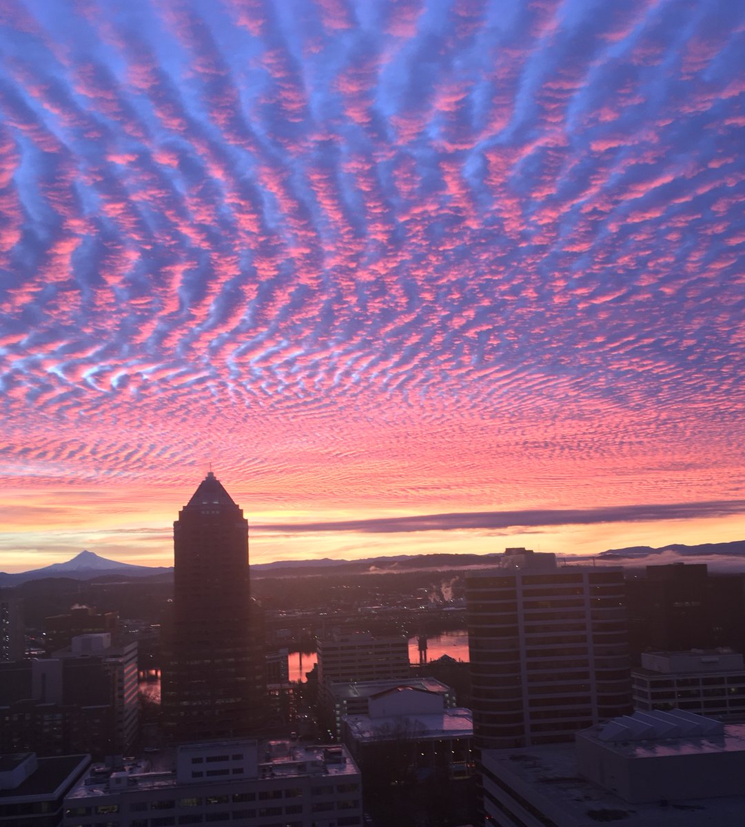 markowitzpc's tweet photo. Our morning view today as we celebrate the firm's 37th Anniversary. https://t.co/UlV0Se8bzr