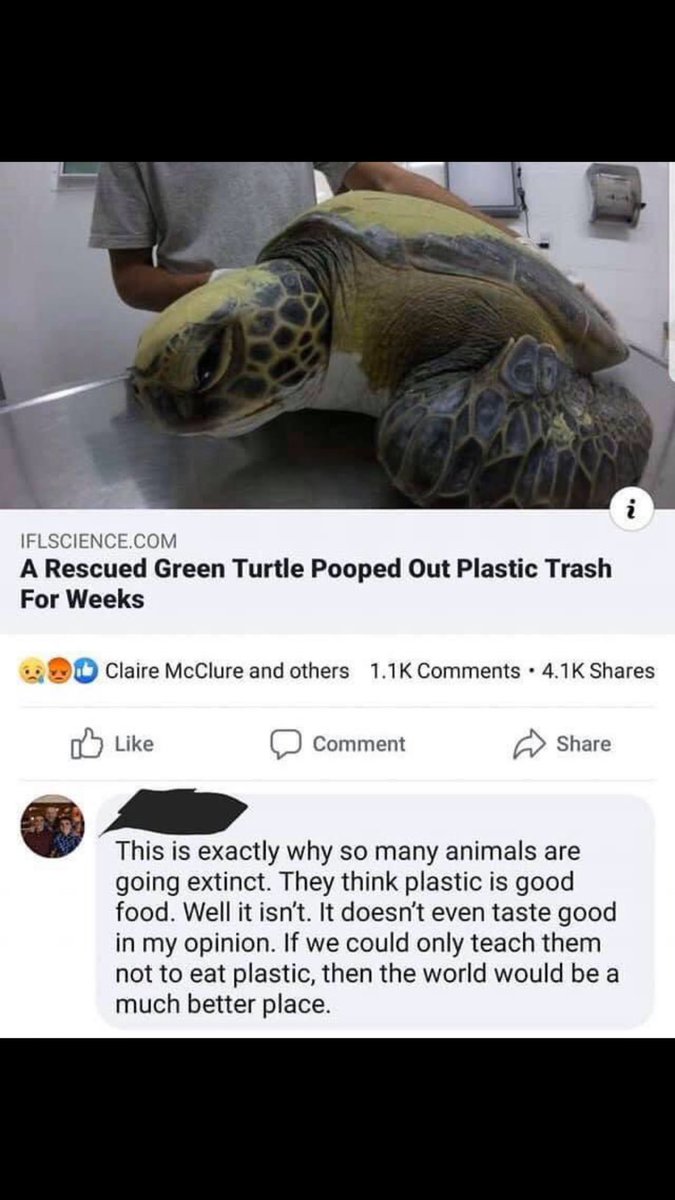 InsanePeopleFB's tweet photo. It doesn’t even taste good why can’t the turtles stop eating plastic😡🤡 https://t.co/uHFgQ7xk1w