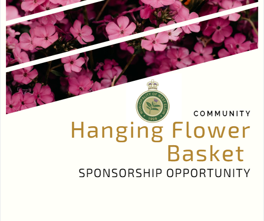 m_westelgin's tweet photo. Give a little, get a little! Sponsor a hanging flower basket and receive a tax donation receipt plus a personalized plaque to hang over the basket. Details can be found on our website: https://t.co/T0U6GTnH5V https://t.co/mET9JQ1fzc
