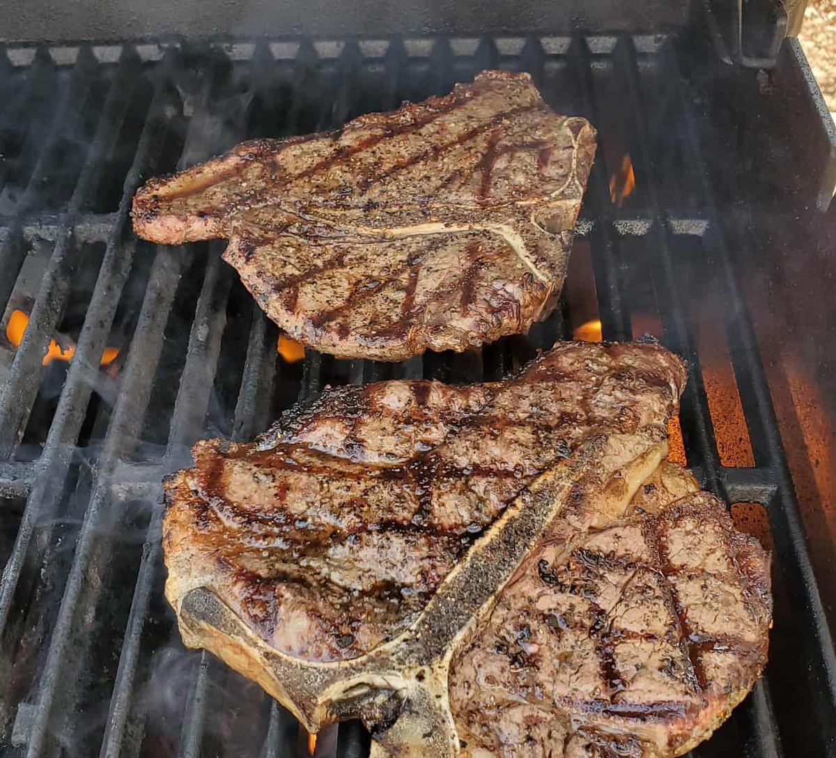 Lynn69324's tweet image. @VinnieTortorich Made breakfast for my husband and myself. Porterhouse steak, bread cheese and a fried egg 🤤🥩🍳 
#carnivore #fatdoc #keto #healthy #nsng #fatforfuel