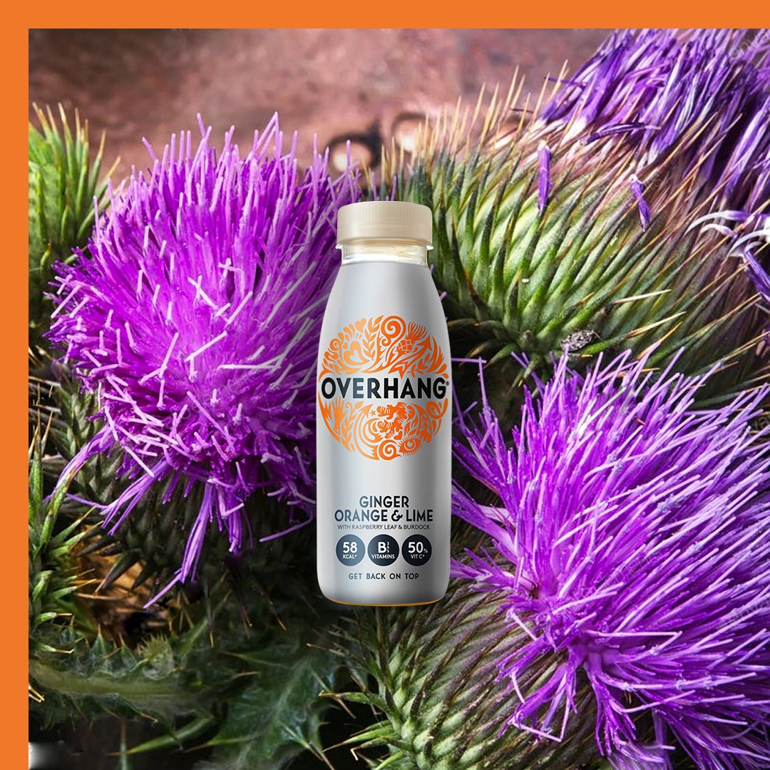 🇬🇧 The UK has some strange laws and regulations. One of them, is that we can't tell you the benefits of consuming milk thistle. Google can though.
💁 Each Overhang bottle contains approx. 1 capsule of milk thistle #JustSayin
🔎 overhangdrinks.com/store-locator/