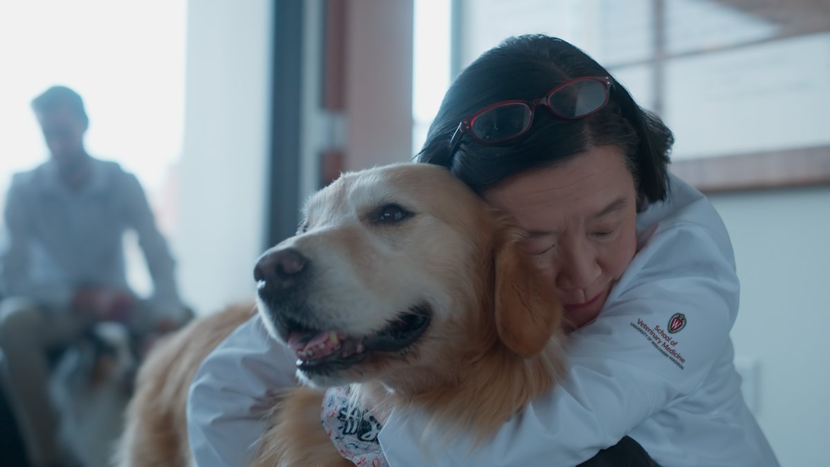 WeatherTech's tweet image. Heroes at @uwvetmed are changing lives every day. Pets make a difference in your life. You can make a difference in theirs. #PetsMakeaDifference #SBLIV