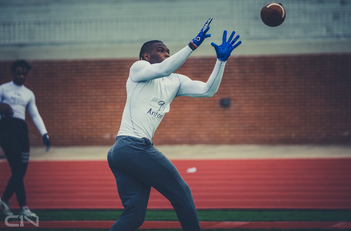 CamNewton7v7's tweet photo. The ⭐️’s are coming out February 9th #dogswanted #C1N #UA #CamNewtonFoundation https://t.co/wYEPwQNFvh