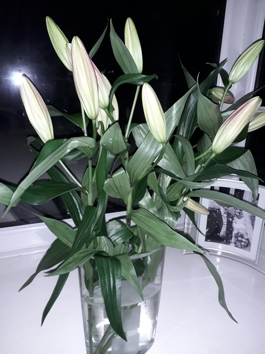 Amazing day with <a href="/StSaviourCE/">St Saviour CE School</a> today performing their 2 incredible <a href="/iSingPOP/">iSingPOP</a> concerts ❤ Thank you all so much for your hard work, dedication and beautiful smiles. Thanks too for my flowers, I can't wait for them to open...pride of place in my window 🌷
