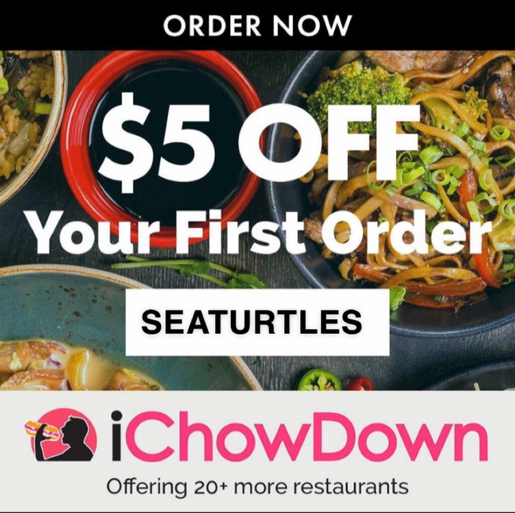 Use promo code: SEATURTLES to support the Enactus Environmental group