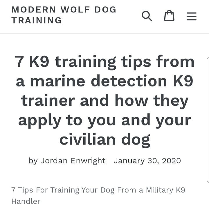 TheModernWolfCo's tweet photo. CHECK OUT THE LATEST BLOG POST 
#dog #dogtraining #dogtips
https://t.co/gqbtvzK5RX https://t.co/5R6KJpwEHT
