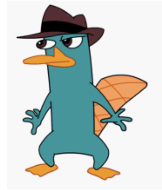 JennSwetel's tweet photo. Perry vs Perry https://t.co/ziSt3VANgm