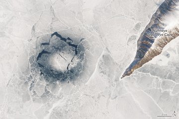 عرض الصورة على تويتر