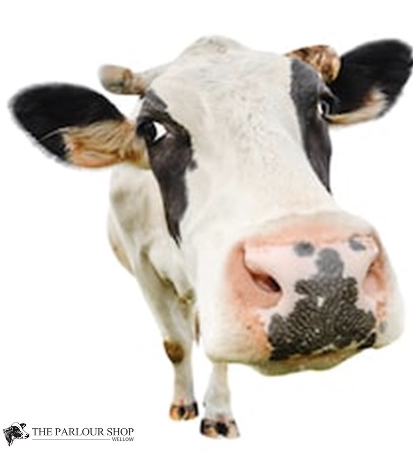 WellowShop's tweet image. Moo!  We are very excited to announce the arrival of our new milk dispenser in the Parlour Shop.  You can come and fill up your glass milk bottles (available in the shop if you need them), with fresh organic milk, direct from a farm in Chew Magna. #organic #eatlocal #freshmilk