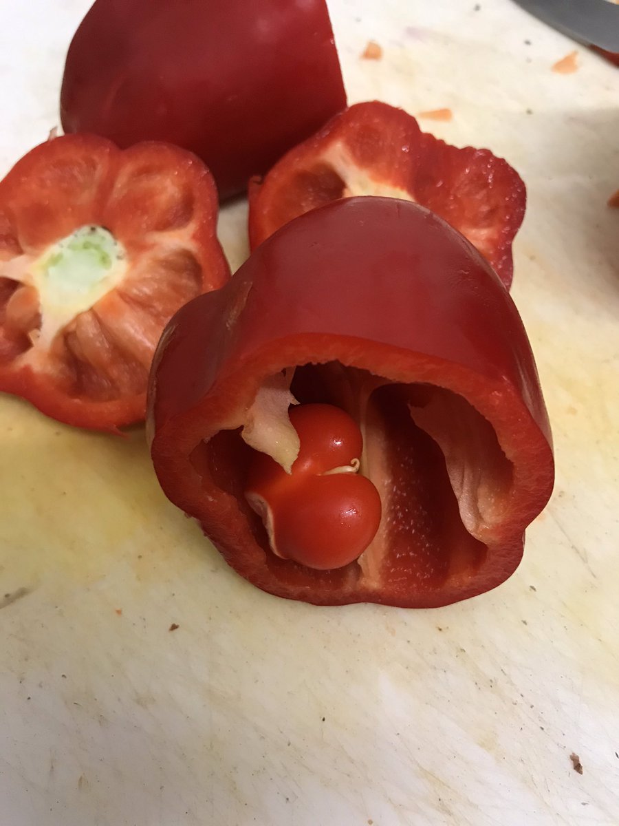 grj243's tweet photo. I’m in #shock and disbelief while preparing #soup No 43 that I’ve only cut open and harmed an unborn #redpepper. This #Veganuary2020 isn’t all it’s cut out to be! #gutted #shooting #beatersday #highbirdshoot #NorthWales https://t.co/mzYoIKWACh