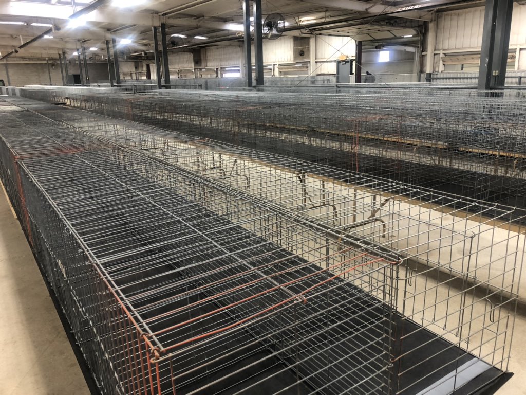 VisitNormanTMW's tweet image. These empty coops are about to become vacation homes for the 1,200+ chickens who are currently making their way to #Norman for the #CVPC State Championship! Thank you CVPC families and participants for choosing to #VisitNorman to compete here!