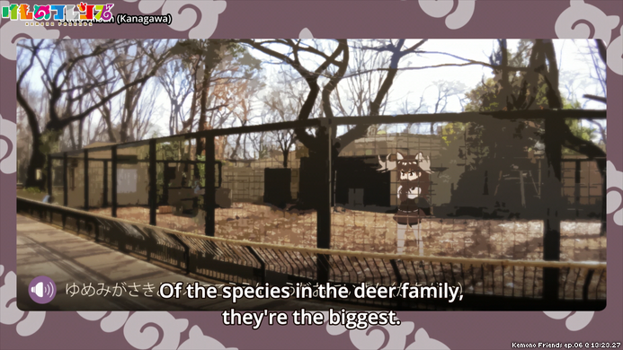 screenshot from Kemono Friends ep.06 @ 13:23.27
"Of the species in the deer family, they're the biggest."