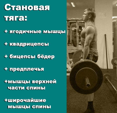 👍#становаятяга - базовое упражнение в бодибилдинге. Задействует выпрямляющие и ягодичные мышцы, квадрицепсы, бицепсы бёдер, предплечья, мышцы верхней части и широчайшие мышцы спины.
👍👍👍Силовые тренажеры от производителя: newlife.in.ua/g5815780-silov…