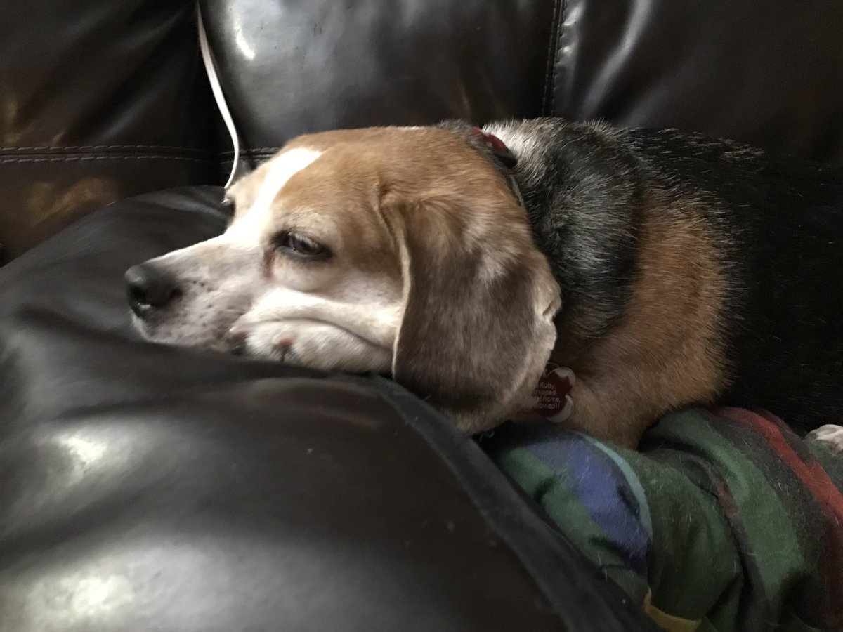 Winter. Welcome to it. 
I dream of grass or at least pooping areas above freezing