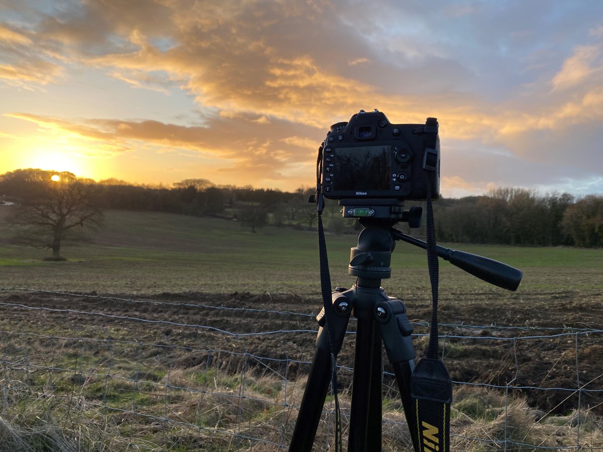 MHP Design tweet media