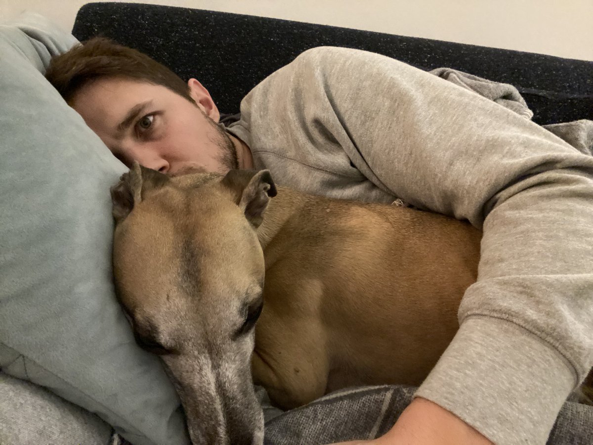 jamesglynn's tweet photo. i came home sick today (i think i finally got #OneVirus) and kip just knew and went straight into snuggle mode. 

we don’t deserve dogs. https://t.co/ZhngsMhqjf