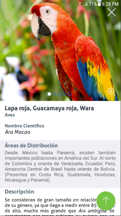 DRCAFTA's tweet photo. #VidaSilvestreApp 📲 | Con colaboración de @Interior, @StateDept, #Roavis y @CITES , se lanzó esta app para q inspectores de vida silvestre, aduaneros y oficiales de gobierno conozcan sobre las normas que regulan la protección, conservación y comercio de flora y fauna silvestres. https://t.co/6aP1qYllwW