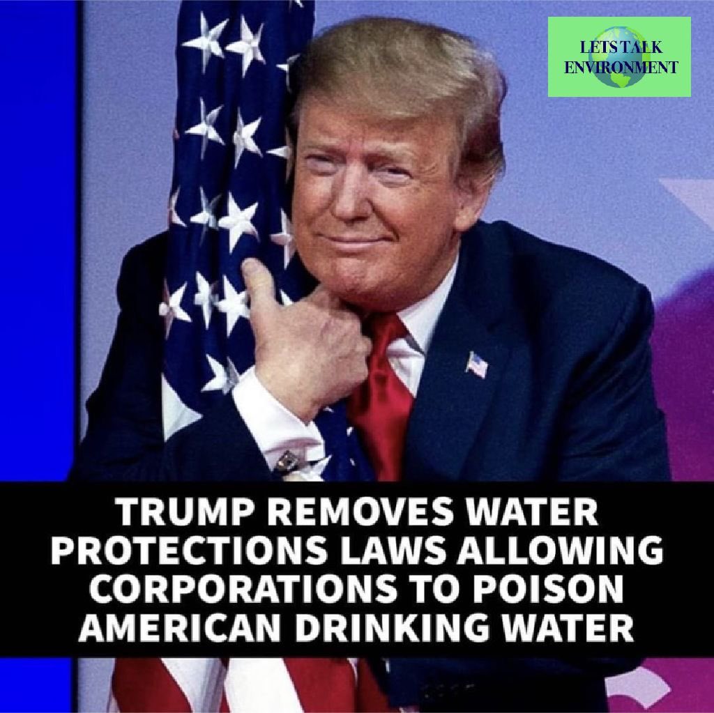 EnvironmentLets's tweet photo. Drinking water and biodiversity at risk with Trump rolling back clean water laws for corporations to dump their waste! #Trump #DumpTrump #environment #ClimateActionNow https://t.co/TiPy4xoL2A