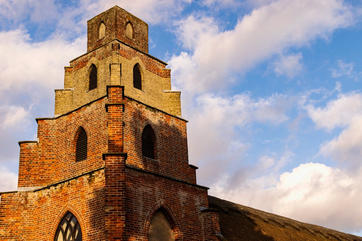 Alexis Grimshaw tweet media