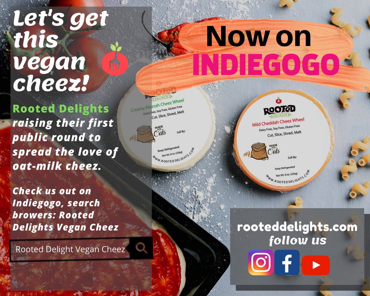 RootedDelights's tweet photo. We launched our first crowdfunding campaign !!!! Check us on @Indiegogo  #vegancheese #vegan #oatmilk #dairyfreecheese #blackowned #rva #rooteddelights https://t.co/2IT7O7LN6T