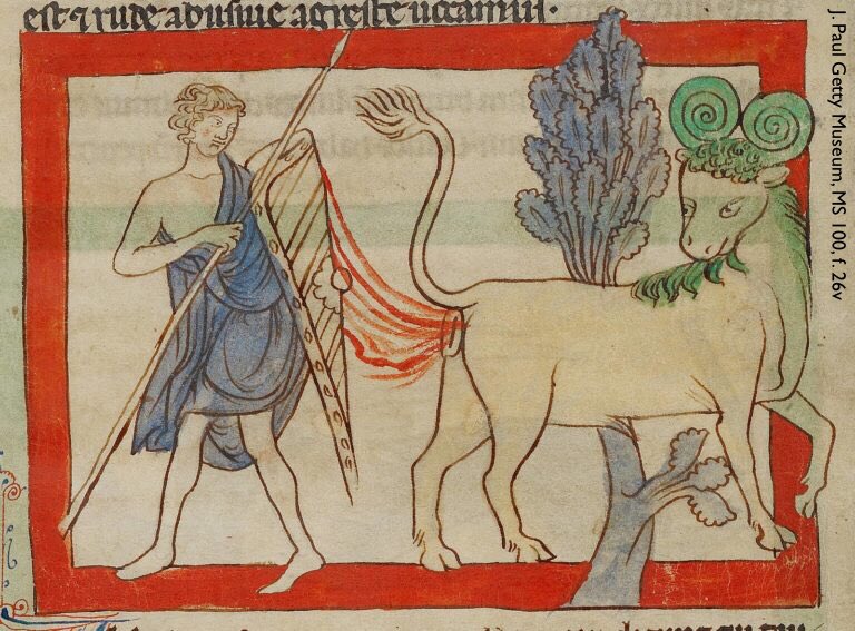 Photo of a tinted drawing from a medieval manuscript. At left, a spear-wielding hunter holds up a large shield to defend himself from the monster at right, namely, the bonnacon: a beast in the form of a giant bull which defends itself against attackers with flaming, reeking faeces. The image source is J. Paul Getty Museum, MS 100, f. 26v.