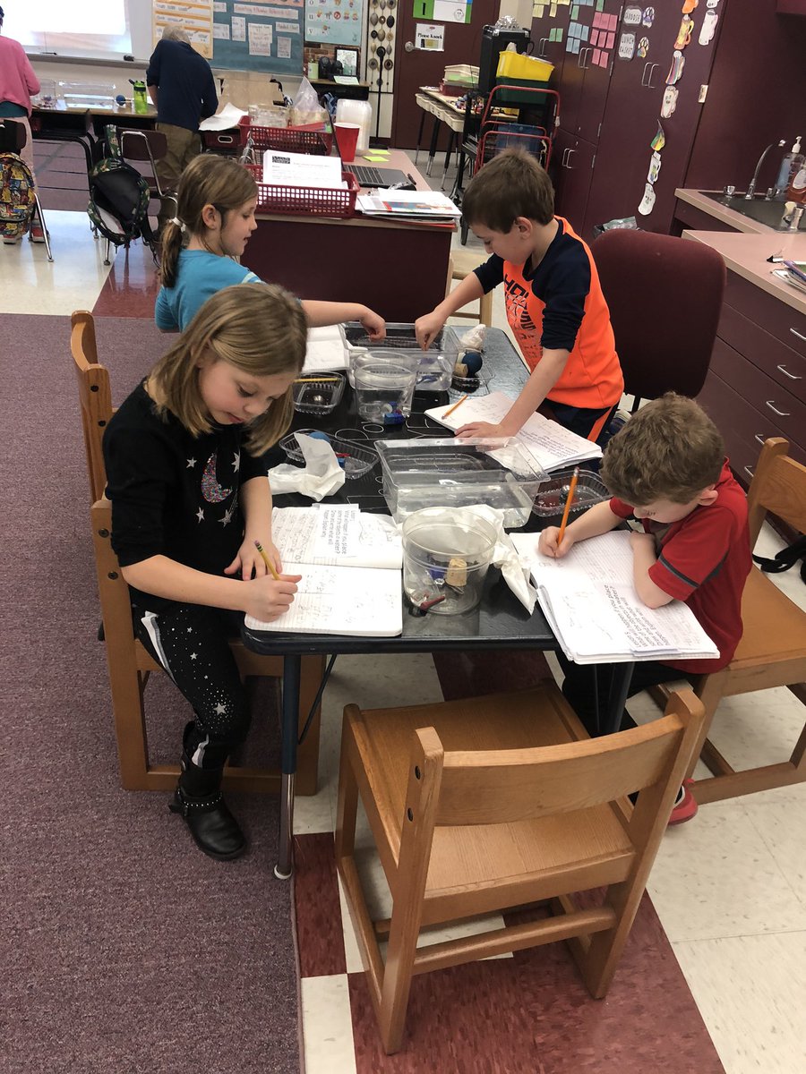 MrG_BSES122's tweet photo. Does it sink or float? Investigating properties of solids! #gvfeeling #BSESjagnation https://t.co/UTfuoaS15G