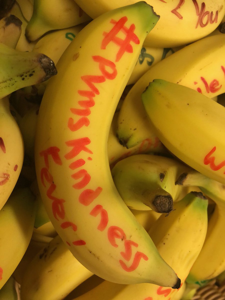 EricVreeman's tweet photo. Nutrition Services spreading kindness #ycjusdALLin https://t.co/oujD2UEQWh